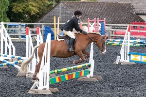 Class 3 -  Fences not above 2'3